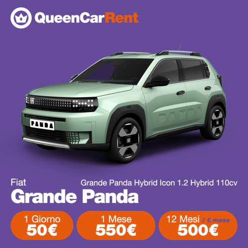 GRANDE PANDA HA553SP