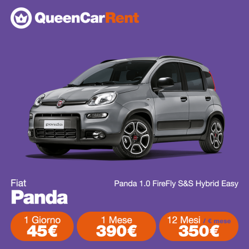 PANDA 3G70943 copia